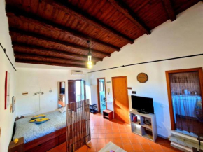 Wood House - Palermo